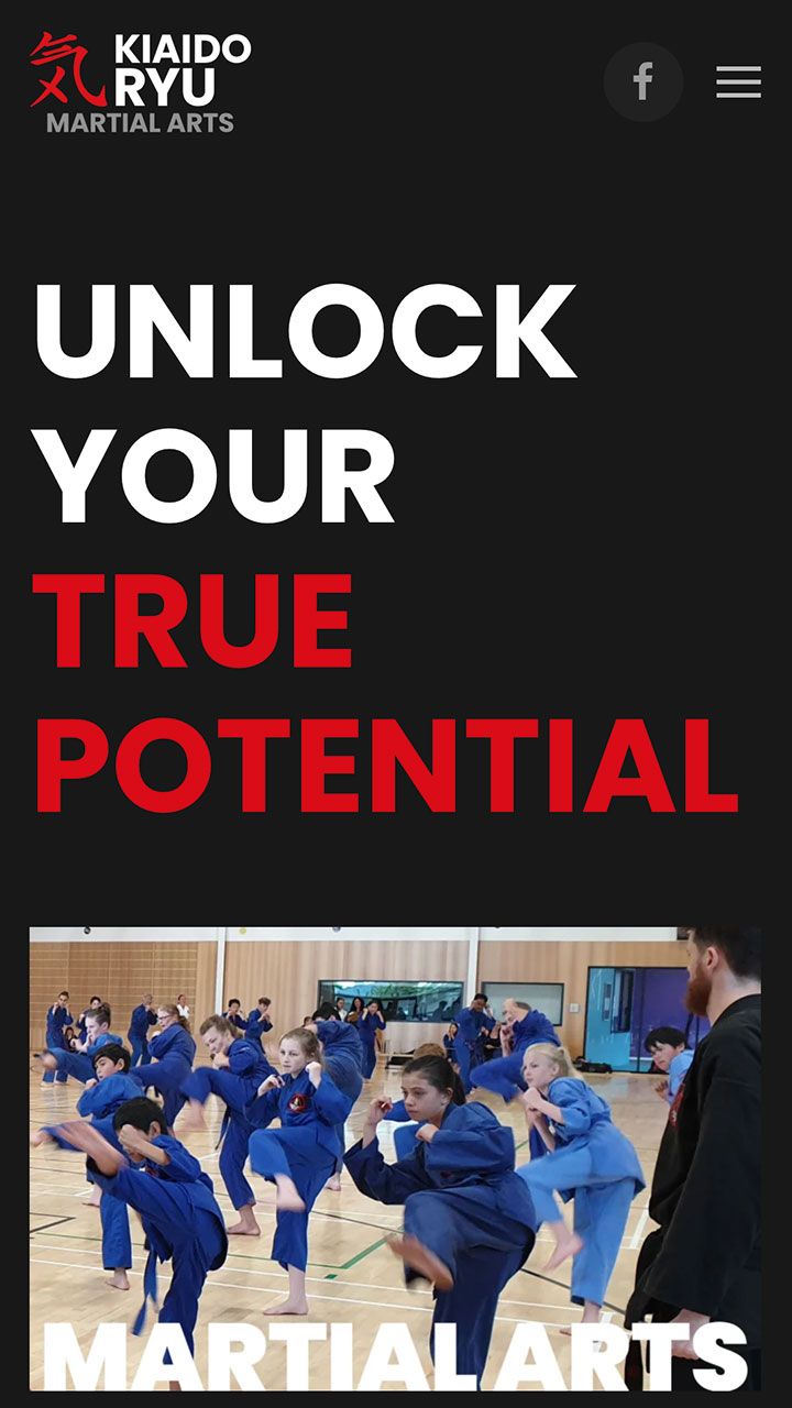 Mobile phone screenshot of Kiaido Ryu's website’s home page